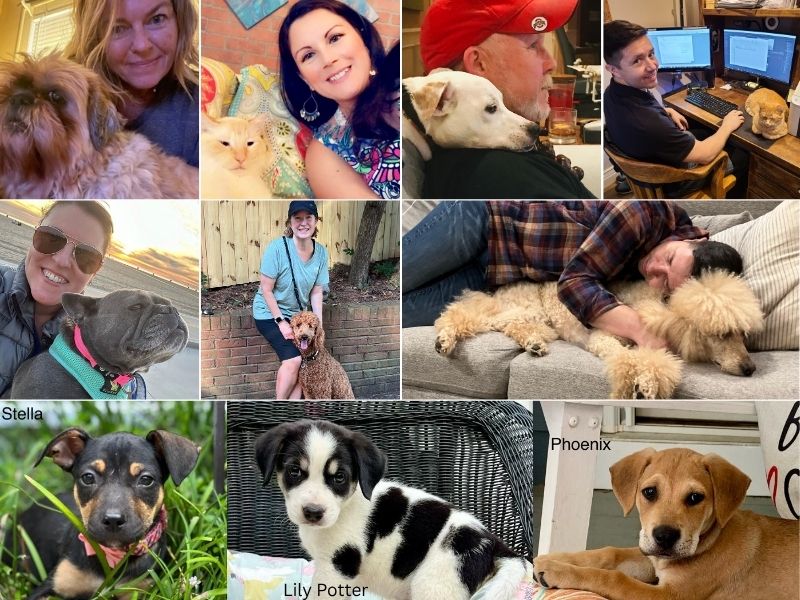 Meet the Pets Behind Our People